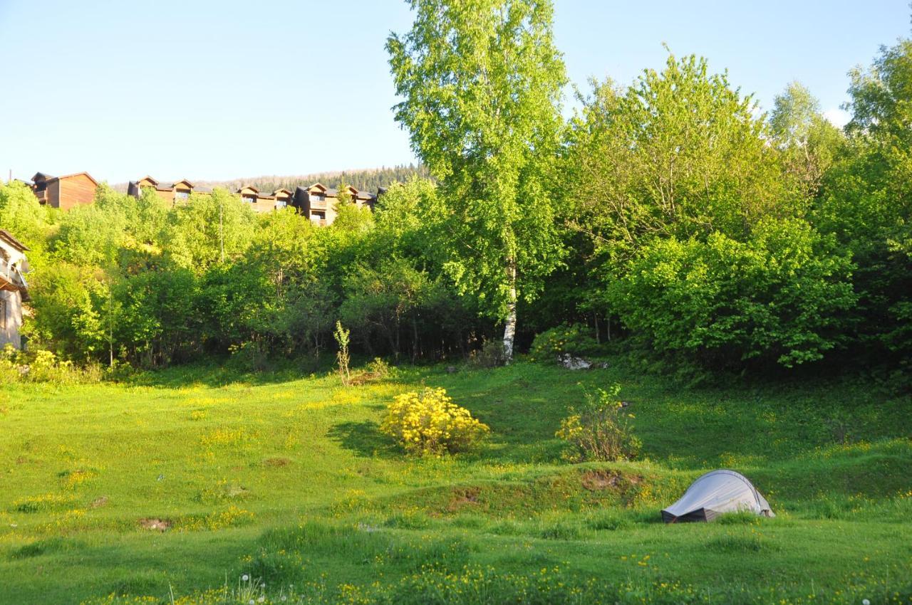 Guesthouse Of Manoni Ratiani 메스티아 외부 사진